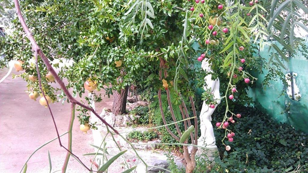 Alojamiento Rural La Caseria De Piedra Restaurante Jaén Exterior foto