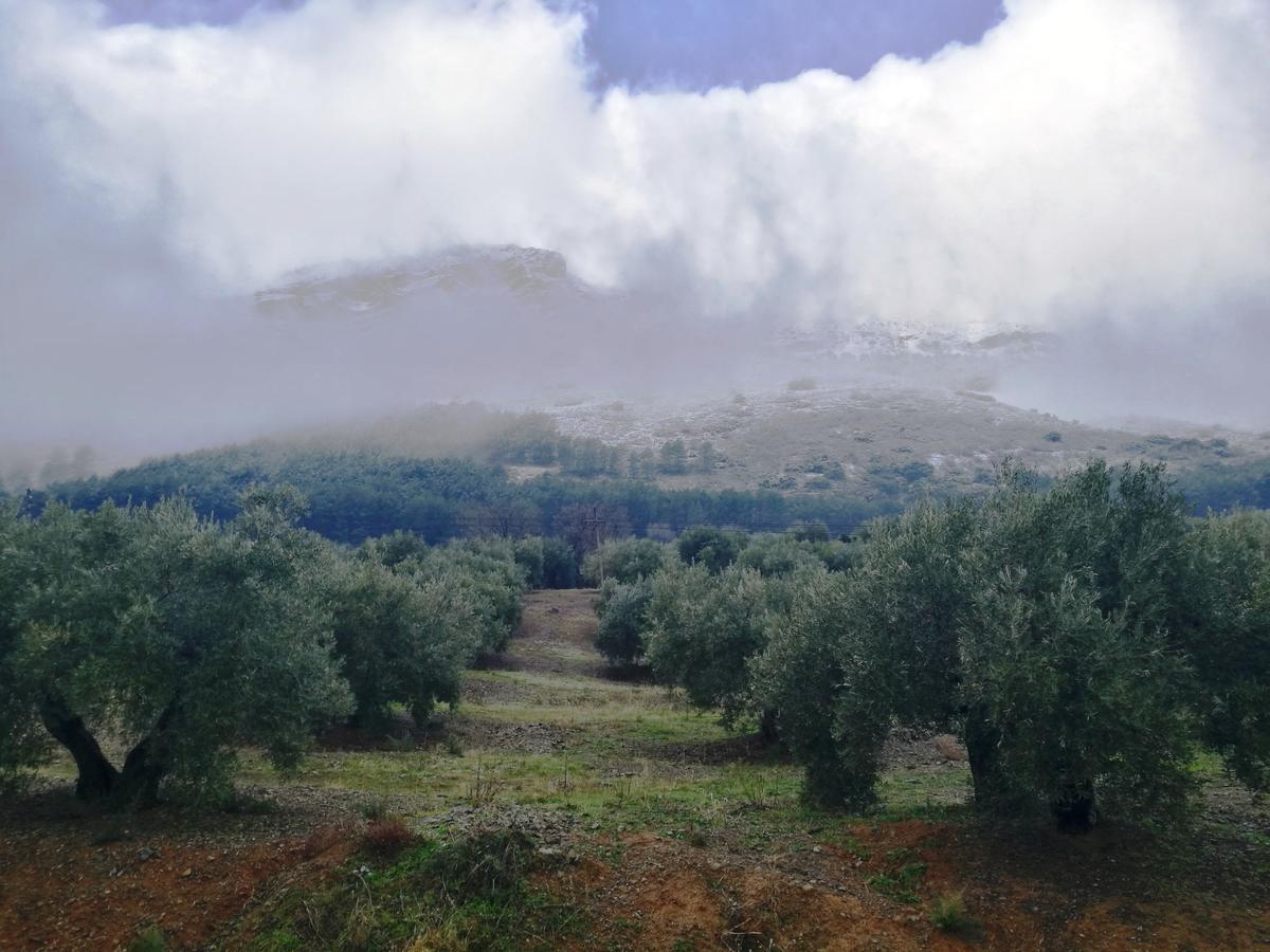 Alojamiento Rural La Caseria De Piedra Restaurante Jaén Exterior foto